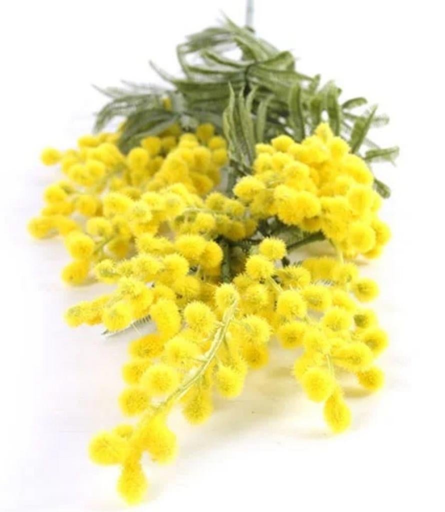 Zijdenbloem Mimosa Geel - 88cm, Binnen, Ophalen of Verzenden, Example address 123, Nieuw