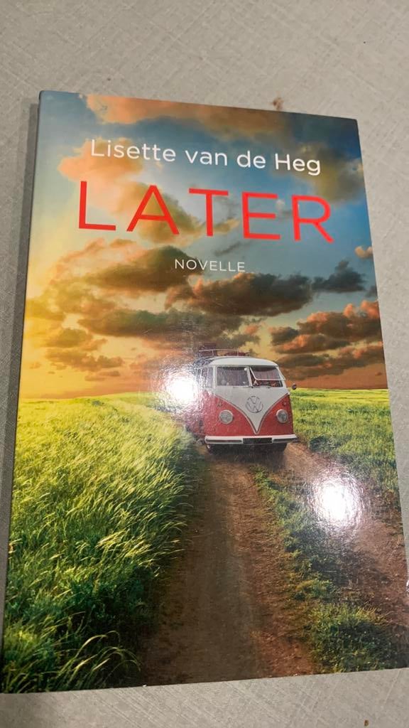Lisette van de Heg: Later (novelle), Boeken, Ophalen of Verzenden, Zo goed als nieuw, Nederland