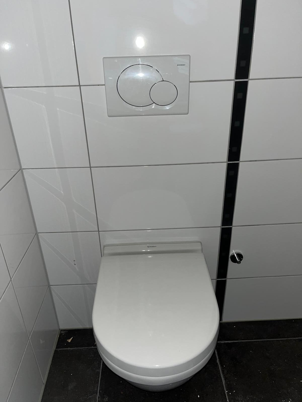 Complete Duravit toilet met Geberit bedieningspaneel, Ophalen, Gebruikt, Toilet