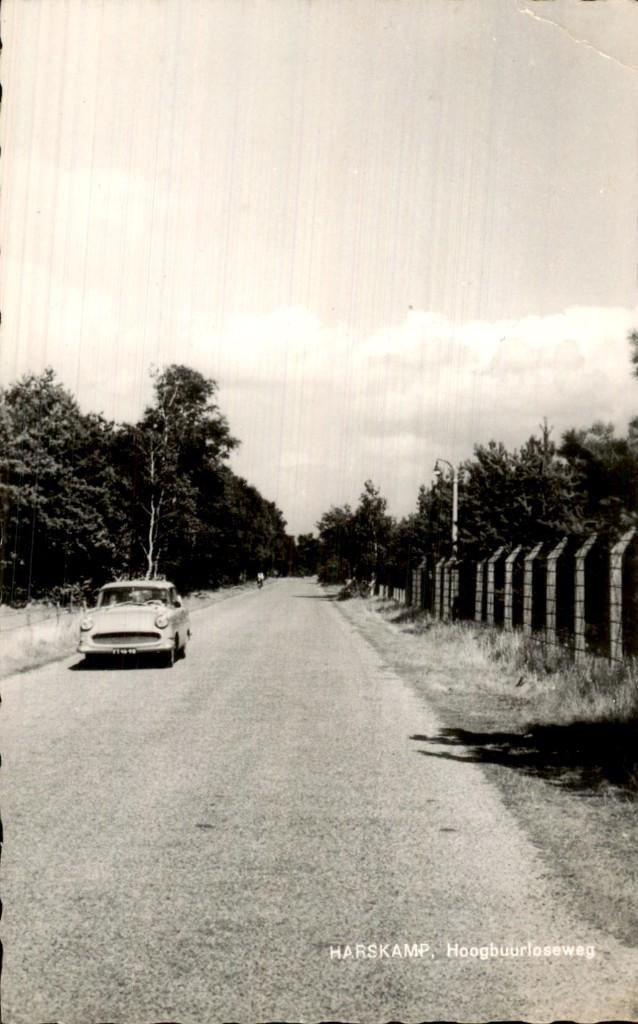Harskamp - Hoogbuurloseweg - Straatzicht, Ophalen of Verzenden, 1940 tot 1960, Ongelopen, Gelderland