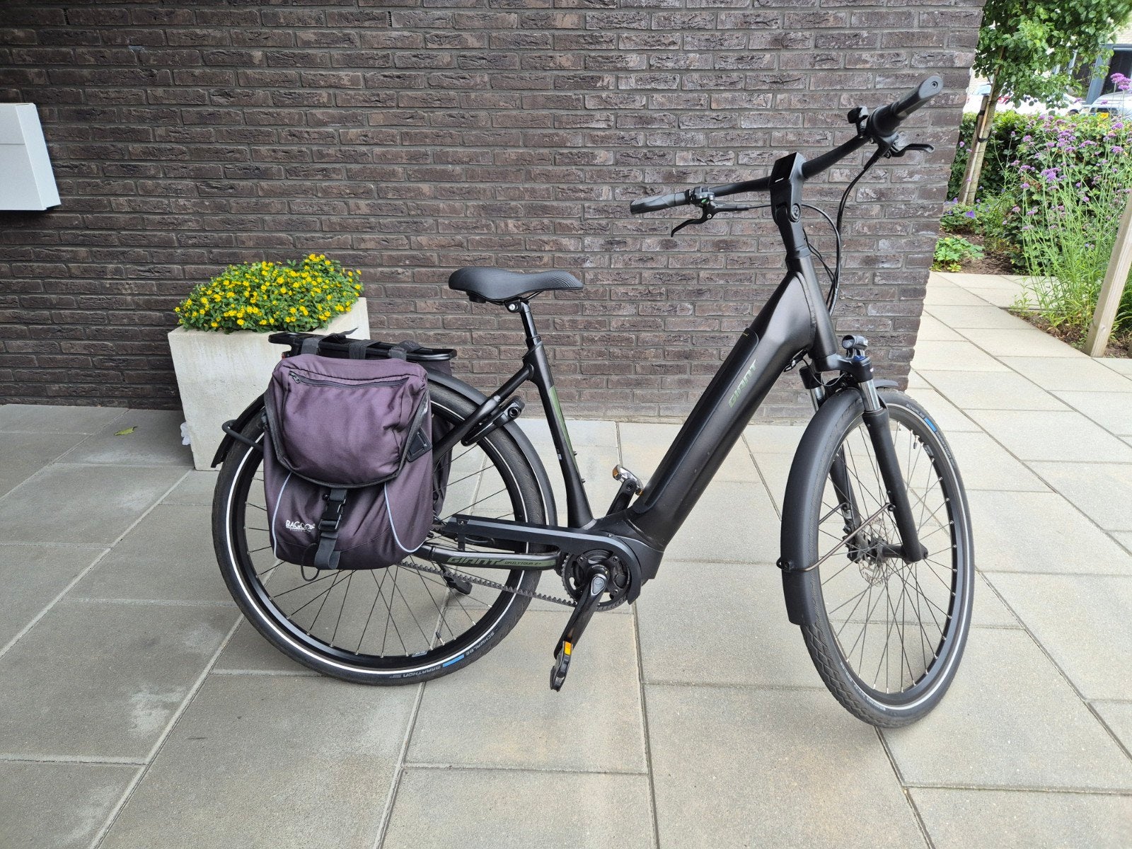 Giant Daily Tour E+2 2022 - Belt Aandrijving, Fietsen en Brommers, Ophalen, Overige merken