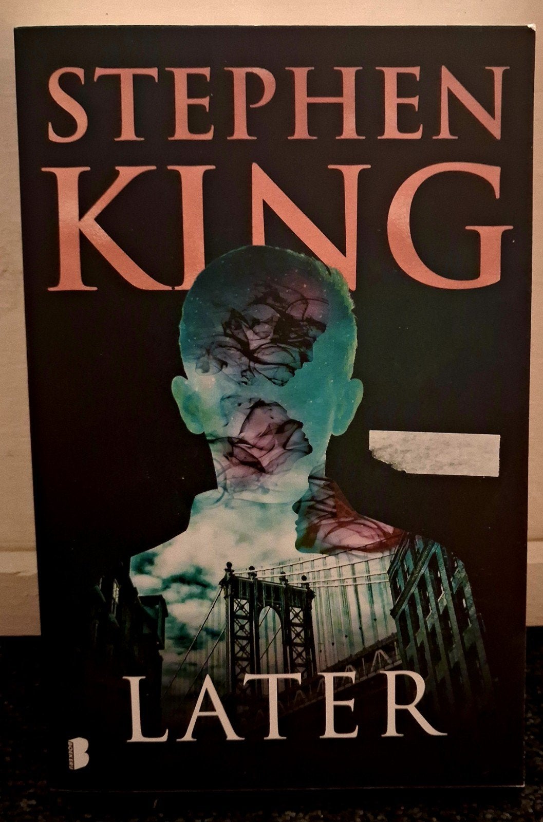 Stephen King - Later | Nederlandse Paperback, Ophalen of Verzenden