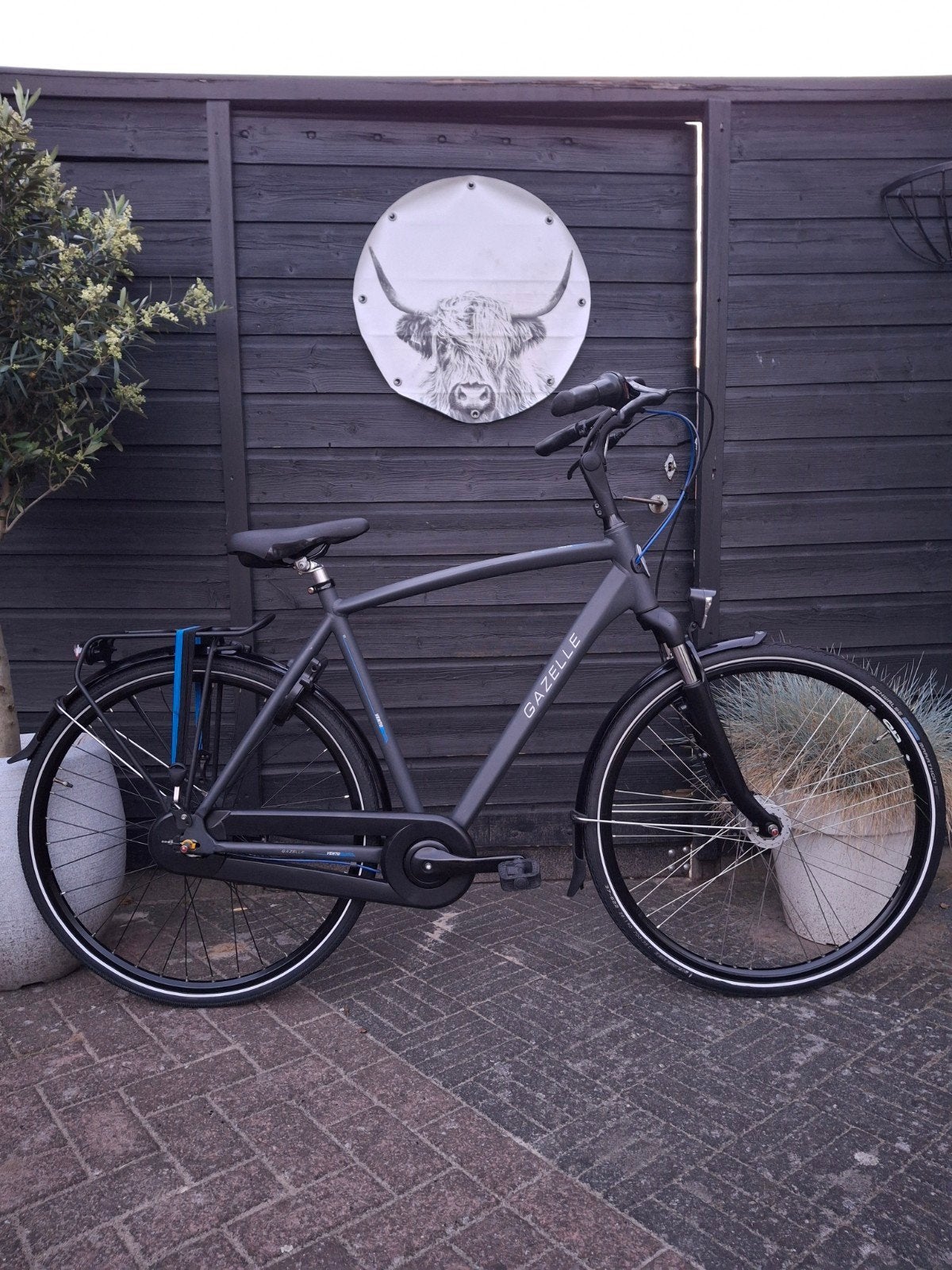 Gazelle Vento C7 herenfiets jongensfiets 28 inch 57cm 7versn, Ophalen, Vering, Zo goed als nieuw, 57 tot 61 cm
