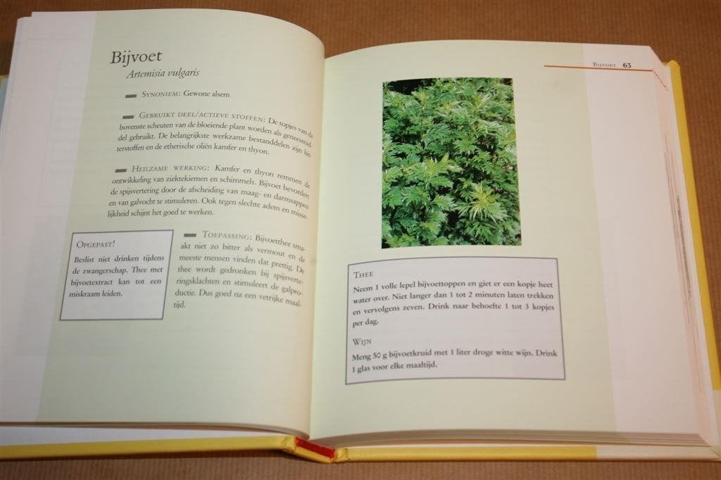 Dumonts Geneeskruiden Lexicon — Geneeskracht en Toepassing, Ophalen of Verzenden, Zo goed als nieuw, Overige onderwerpen, Achtergrond en Informatie