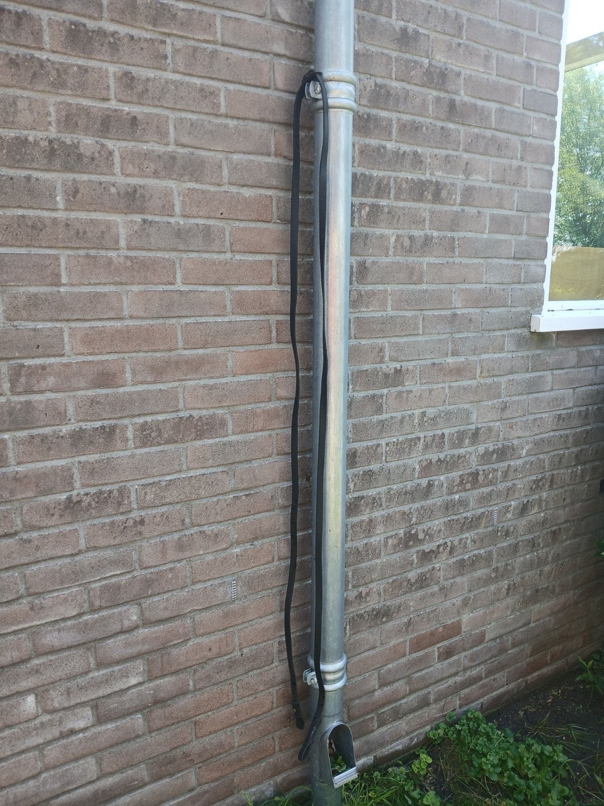 Teugels, Dieren en Toebehoren, Ophalen of Verzenden, Gebruikt, Overige soorten