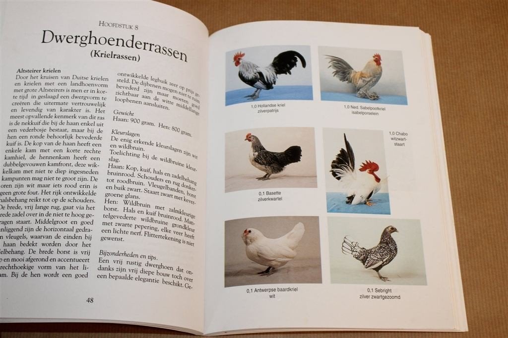 Dwerghoenders Houden Als Liefhebberij — Verzorging & Fokken, Ophalen of Verzenden, Gelezen, Vogels