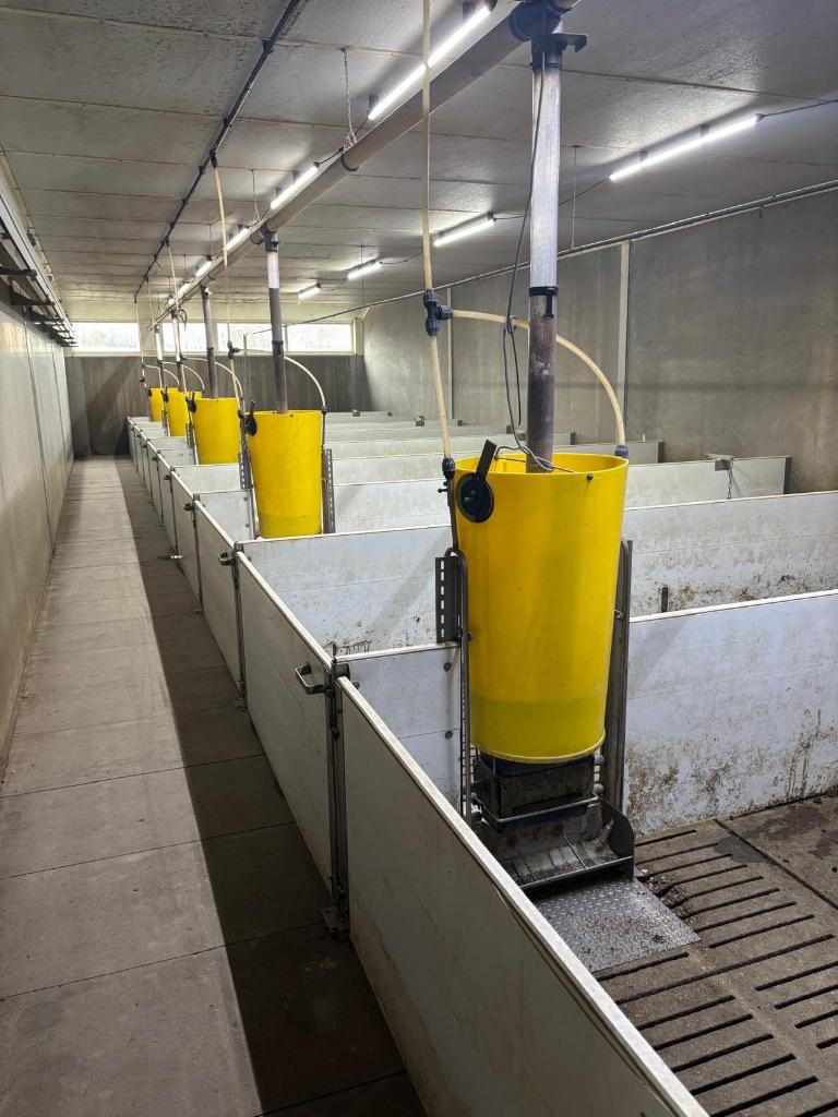 Hokinrichting voor biggen [277], Boekhorst Trading, Info@boekhorsttrading.com, Singel 16