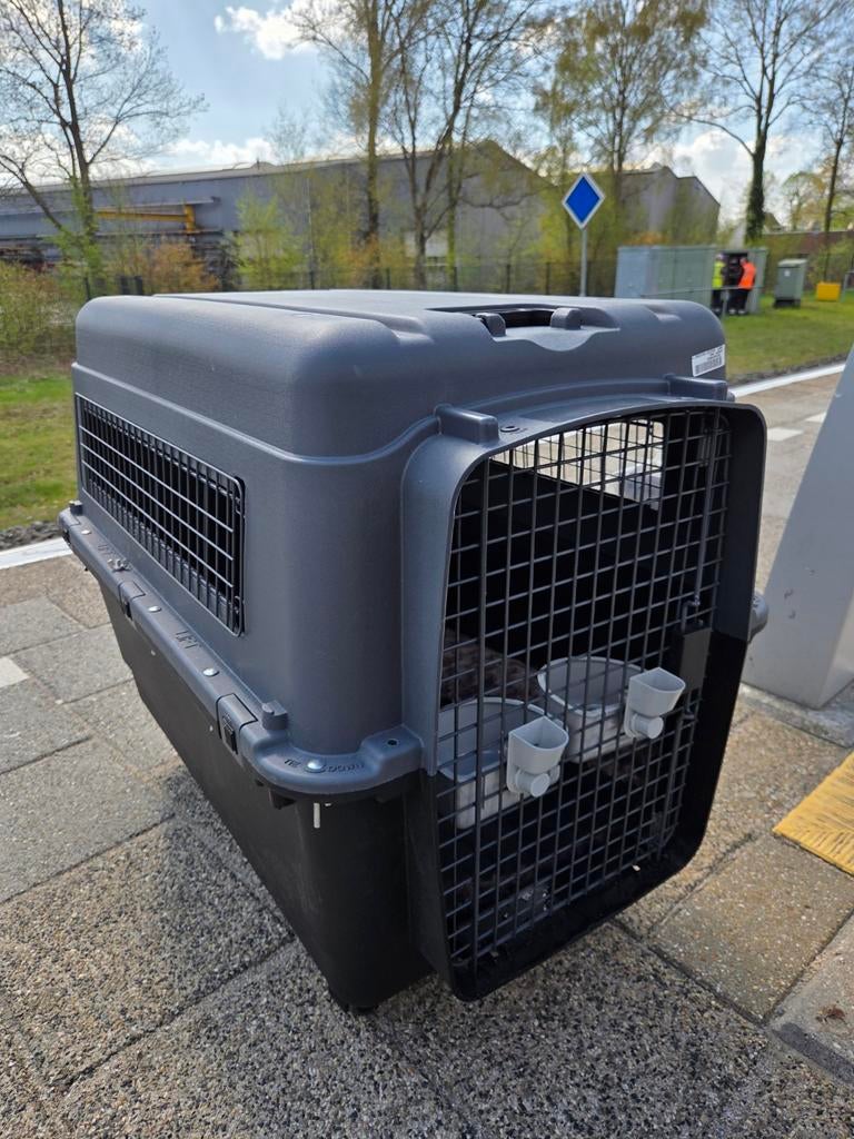 Transportbox hond xxl, Ophalen