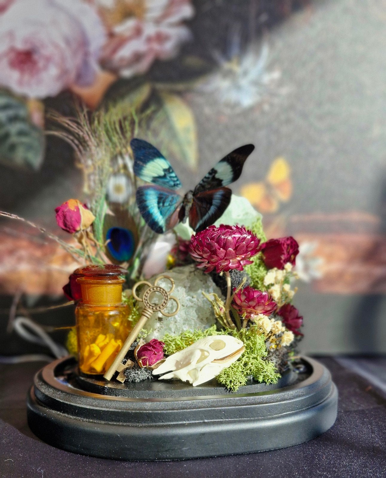 Opgezette vlinder, schedel, rariteiten,  mineralen, Ophalen, Nieuw, Opgezet dier