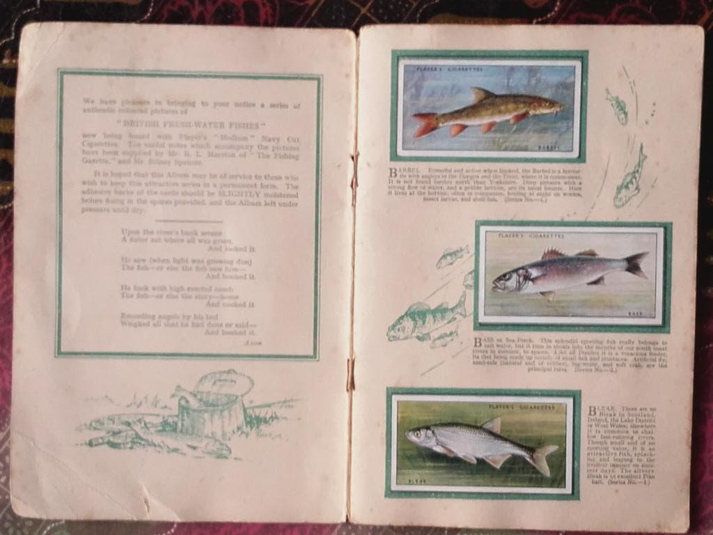 Compleet Engels album met sigarettenplaatjes van vissen., Ophalen of Verzenden