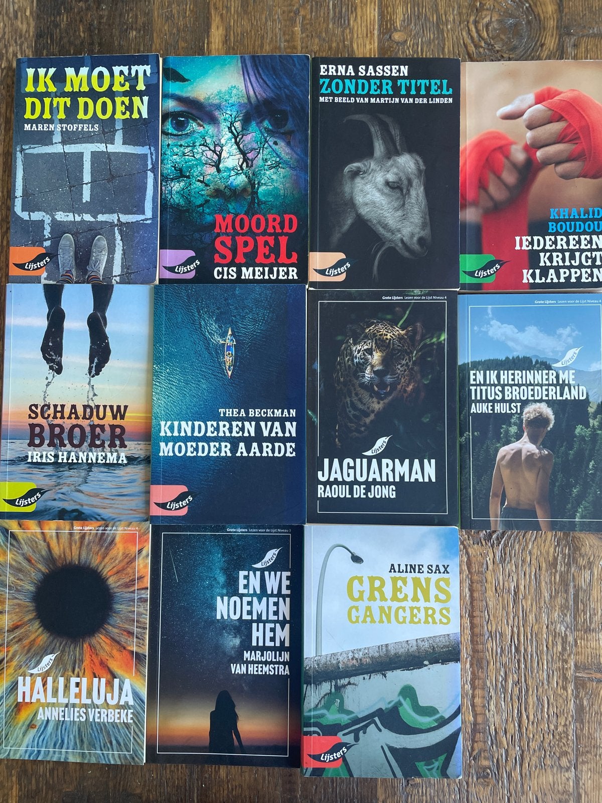 Lijsters Boekenpakket: 10 Jeugdboeken (Diverse Auteurs), Boeken, Literatuur, Gelezen, Nederland, Ophalen