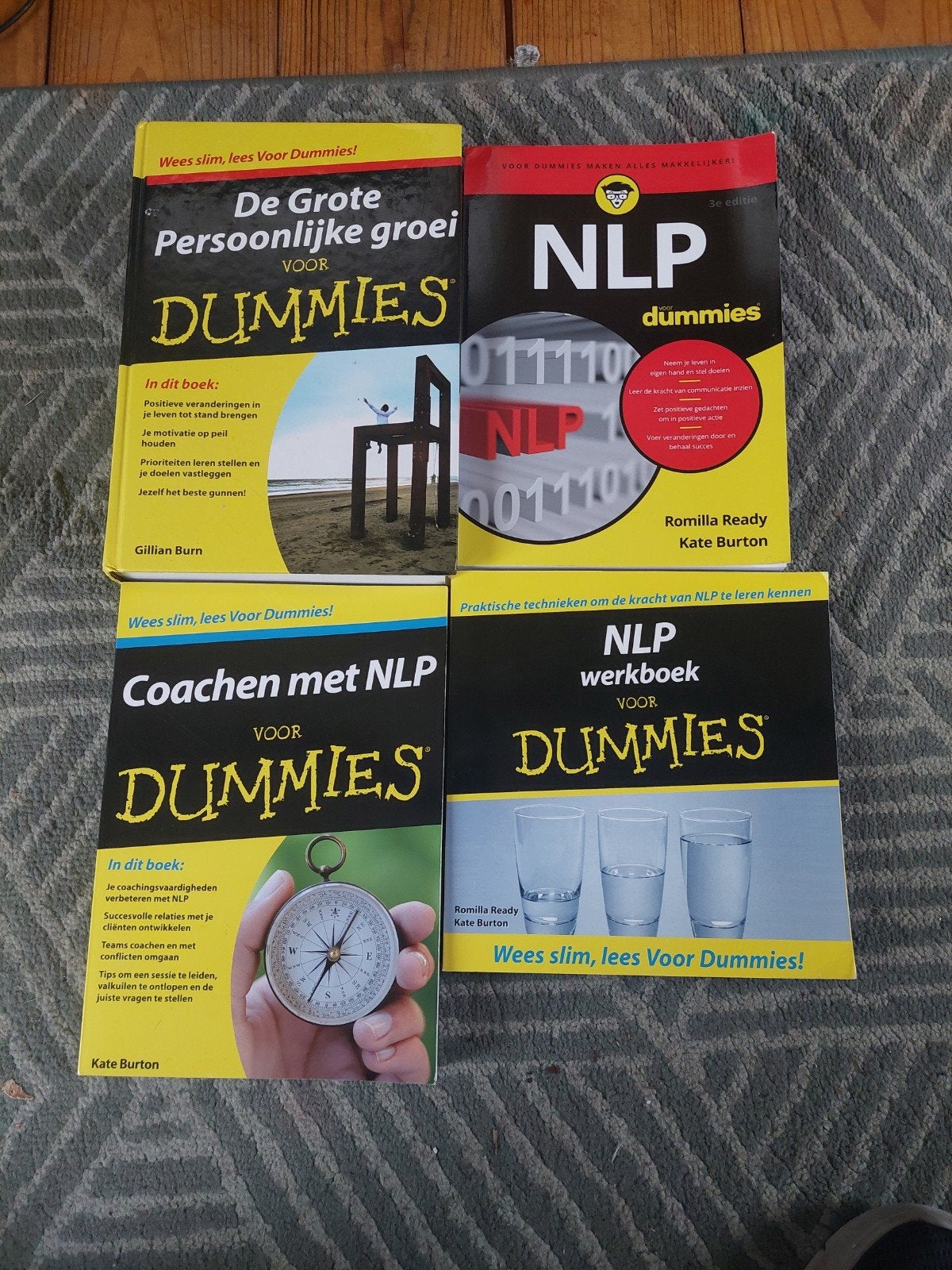 Dummies boeken: Persoonlijke groei, NLP, Coachen met NLP, Boeken, Ophalen of Verzenden, Zo goed als nieuw, Gillian Burn, Romilla Ready, Kate Burton