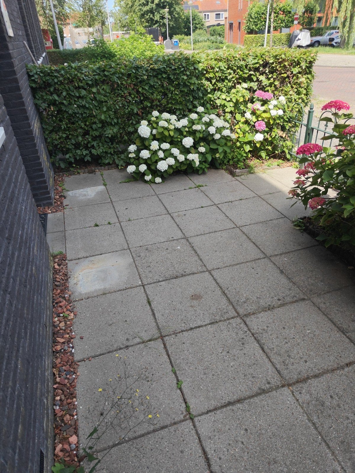Gratis af te halen: 40 beton terrastegels 50x50x5cm, Ophalen of Verzenden