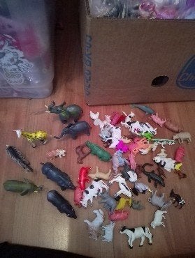 leuke dieren te koop, Ophalen, Zo goed als nieuw, Jongen of Meisje