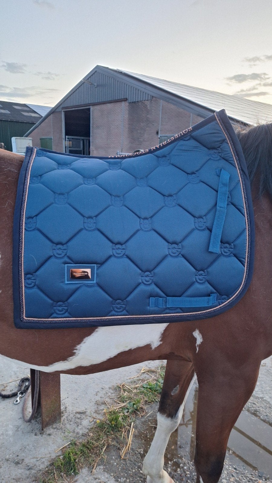 Equestrian Stockholm Monaco Blue, Dieren en Toebehoren, Full (L), Dressuurdekje, Equestrian Stockholm, Ophalen of Verzenden