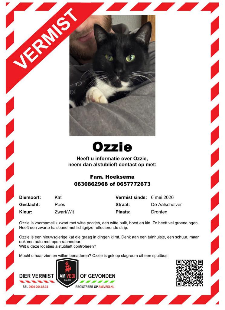 Vermist onze poes Ozzie, Dieren en Toebehoren