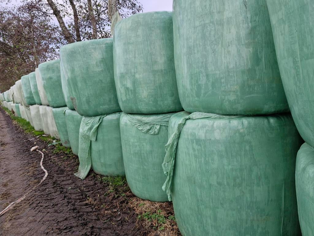 Ronde balen kuilvoer te koop, Dieren en Toebehoren, Ophalen, Vee