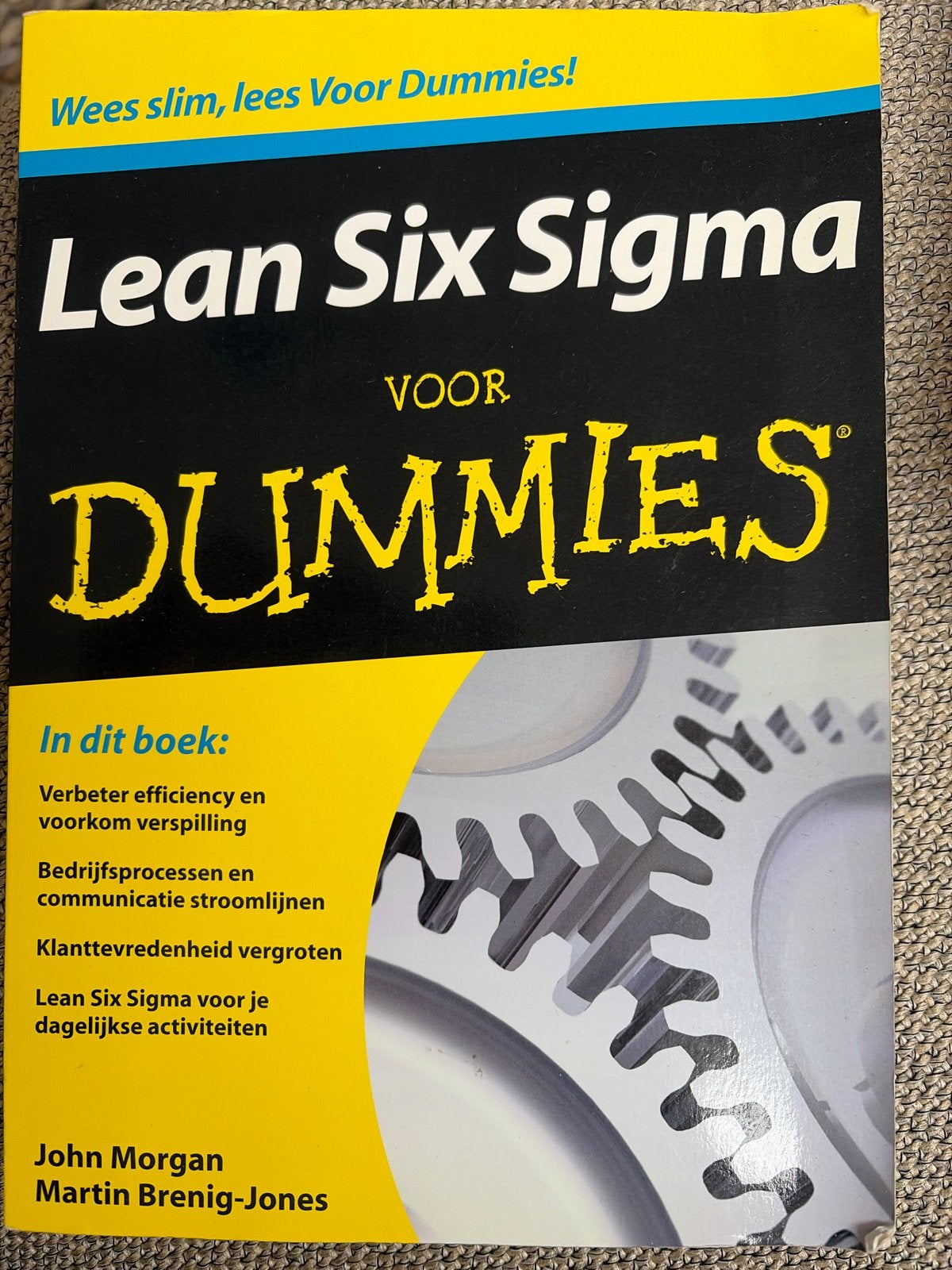 Lean Six Sigma Voor Dummies, Ophalen of Verzenden, Zo goed als nieuw, Management