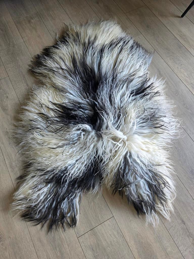 Schapenvacht xxl lange haren gekrulde Gotlander., Ophalen of Verzenden, Nieuw