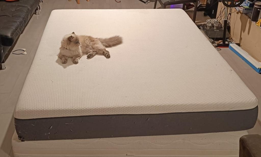 Emma Matras 160x200, Huis en Inrichting, Slaapkamer | Matrassen en Bedbodems, Ophalen, Gebruikt, Tweepersoons, Matras