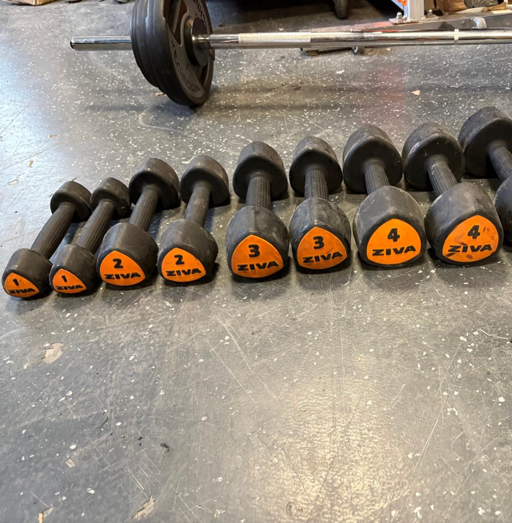Ziva dumbbells 1-4 kg dumbbell set gewichten, Dumbbell, Gebruikt, Dumbbells, Ziva