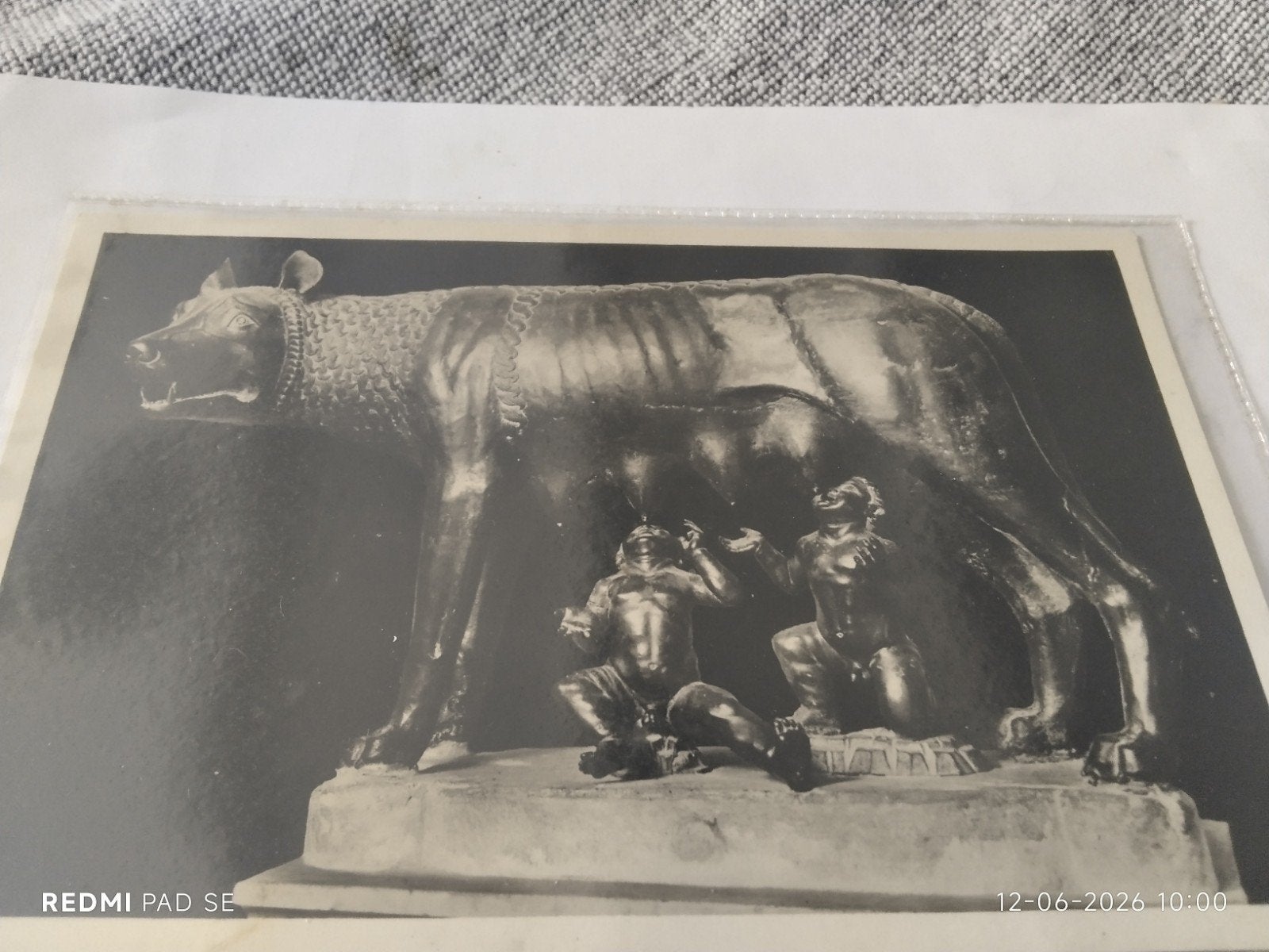 Oude foto: Capitolijnse Wolf met Romulus en Remus, Verzamelen, Ophalen of Verzenden, Voor 1940, Zo goed als nieuw, Overige onderwerpen
