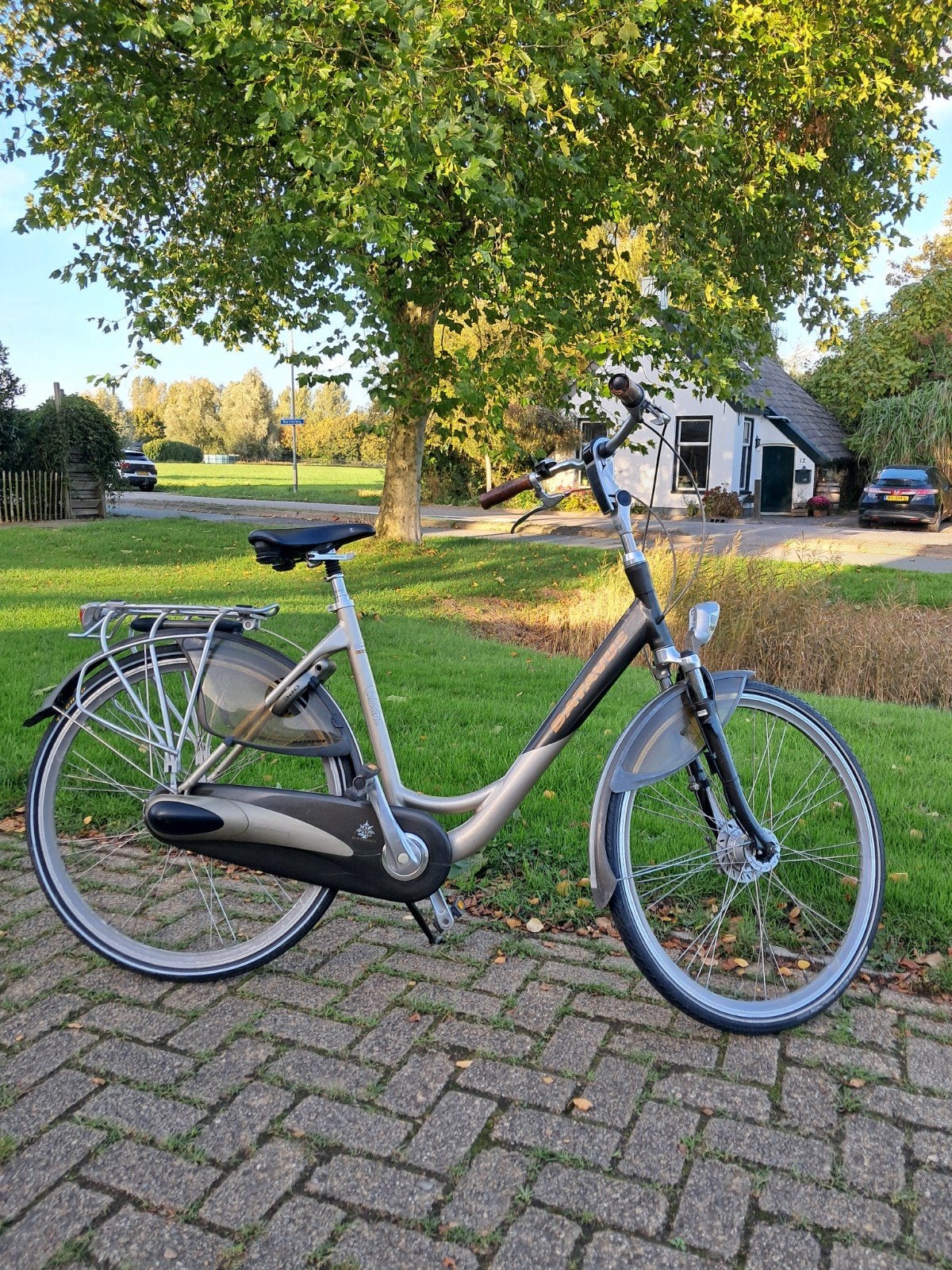Mooie damesfiets Batavus Cantate frame 53 cm, Ophalen, Versnellingen, Batavus, Trommelrem