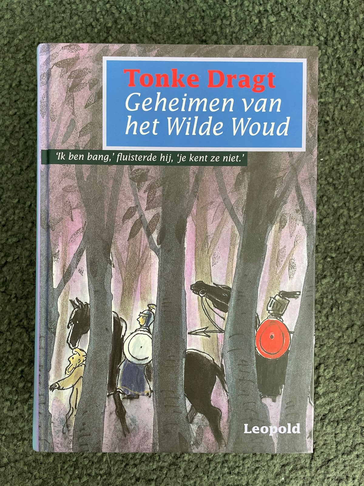 Tonke Dragt - Geheimen van het Wilde Woud, Ophalen of Verzenden, Zo goed als nieuw, Fictie algemeen