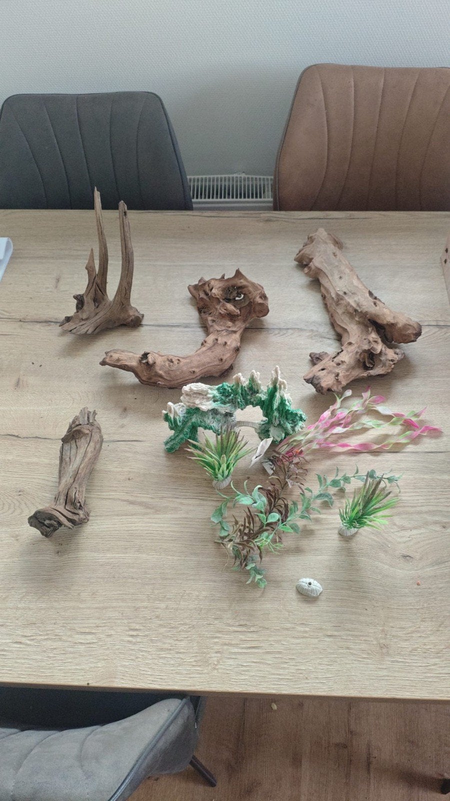 tk kienhout, Ophalen, Plant(en), Steen of Hout