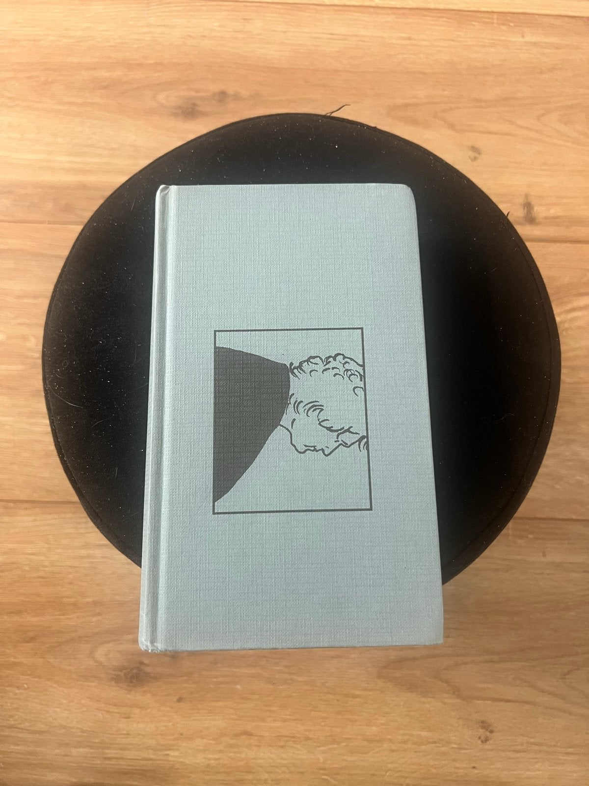 Schuld en Boete - F.M. Dostojevski (De Verboden Boeken), Ophalen of Verzenden, Gelezen