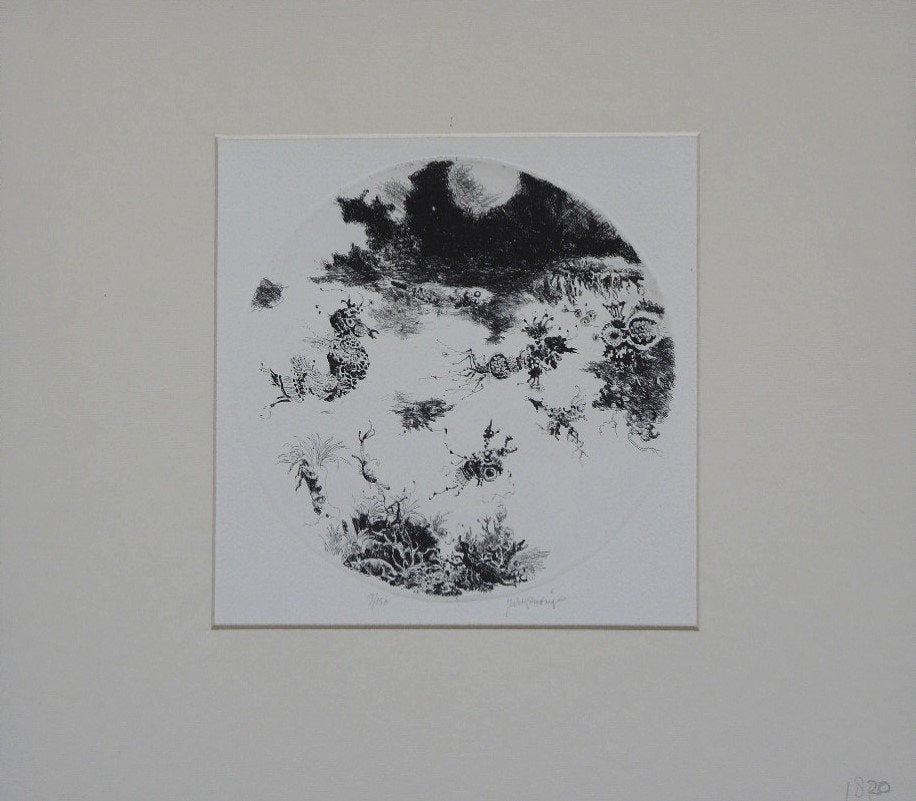 Jan Roelf Mensinga ets "Kruipende Beesten&Maanlicht", gesign, Ophalen, Flora en Fauna, Gesigneerd, 1950 - 1999
