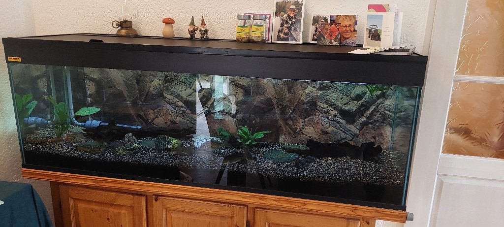 Groot aquarium, Ophalen, Inclusief deksel, Zo goed als nieuw, Leeg aquarium