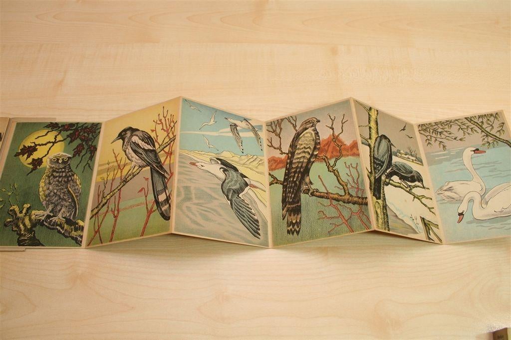 Teekenvoorbeelden — Dieren [1942] in Leporello, Boeken, Ophalen of Verzenden, Gelezen, Grafische vormgeving