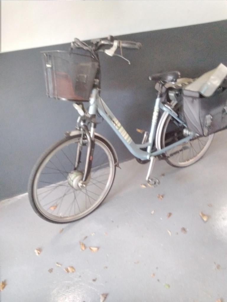 Goede en nette giant elektrische fiets, Ophalen of Verzenden, Overige merken