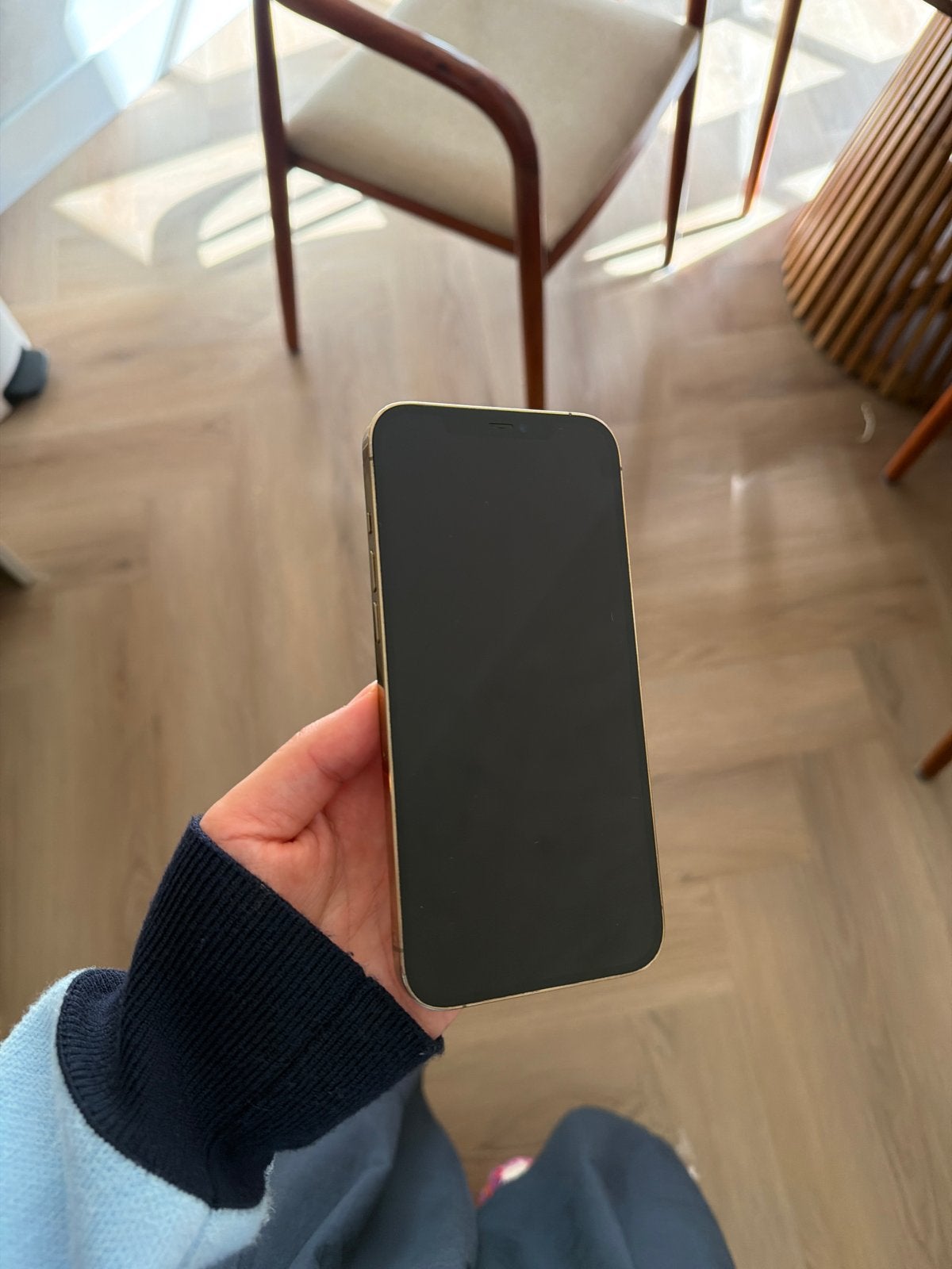 iPhone 12 Pro Max 512 GB Goud