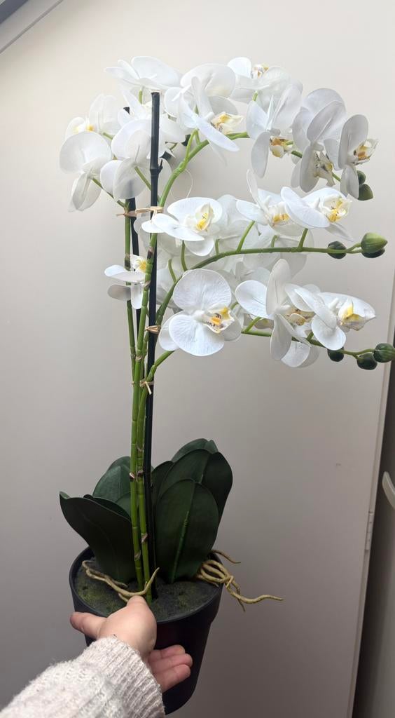 Prachtige witte orchidee / kunstorchidee in pot, Ophalen, Zo goed als nieuw