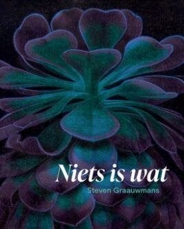 Steven Graauwmans, Niets is wat, Ophalen of Verzenden, Nieuw