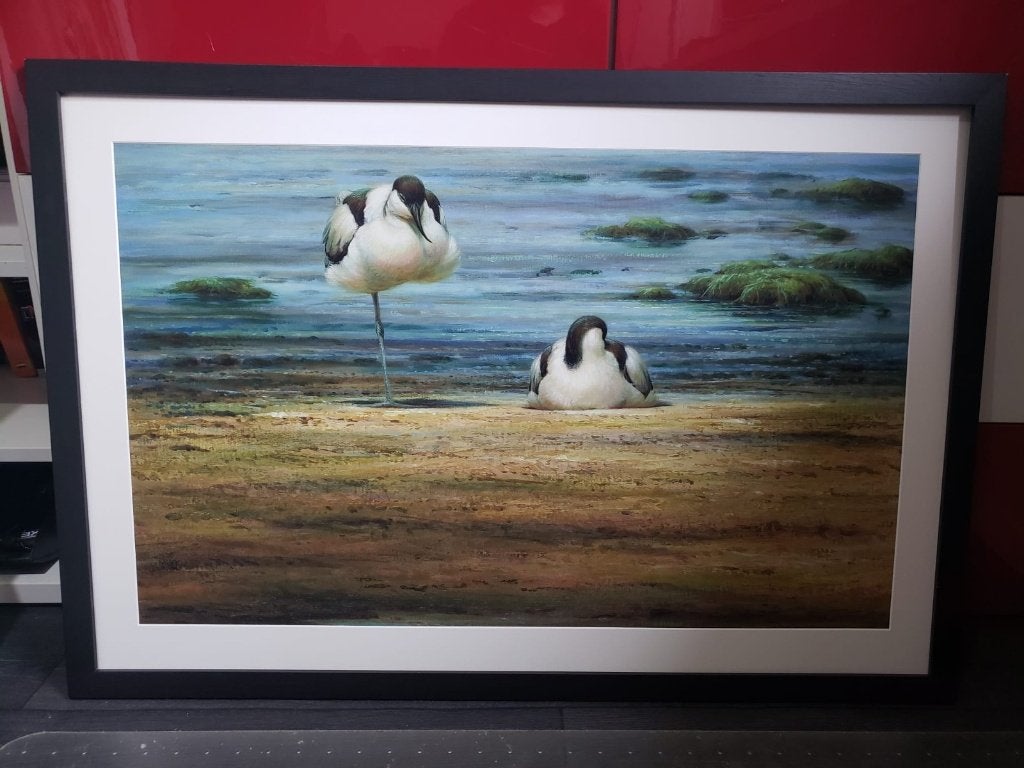 Erik van ommen kluten, 50 – 75, Ophalen of Verzenden, 75 tot 100 cm, Print