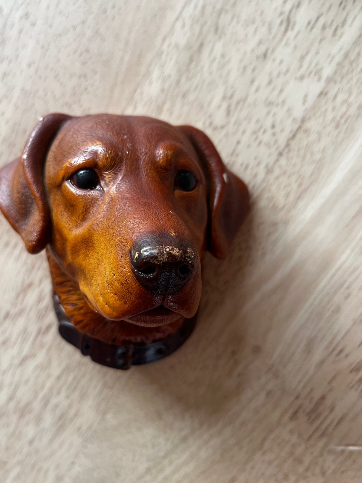 Bossons hondenhoofd, 0 tot 2 jaar