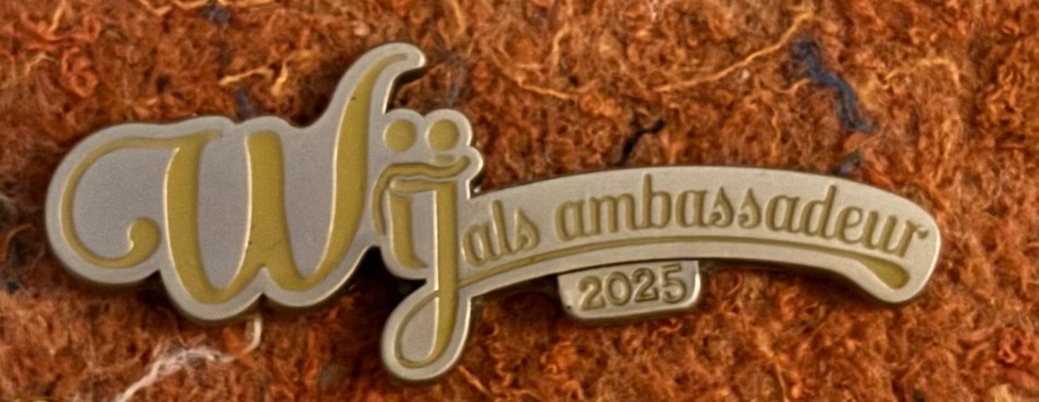 Efteling medewerker pin: Wij als ambassadeur 2025, Ophalen of Verzenden, Zo goed als nieuw