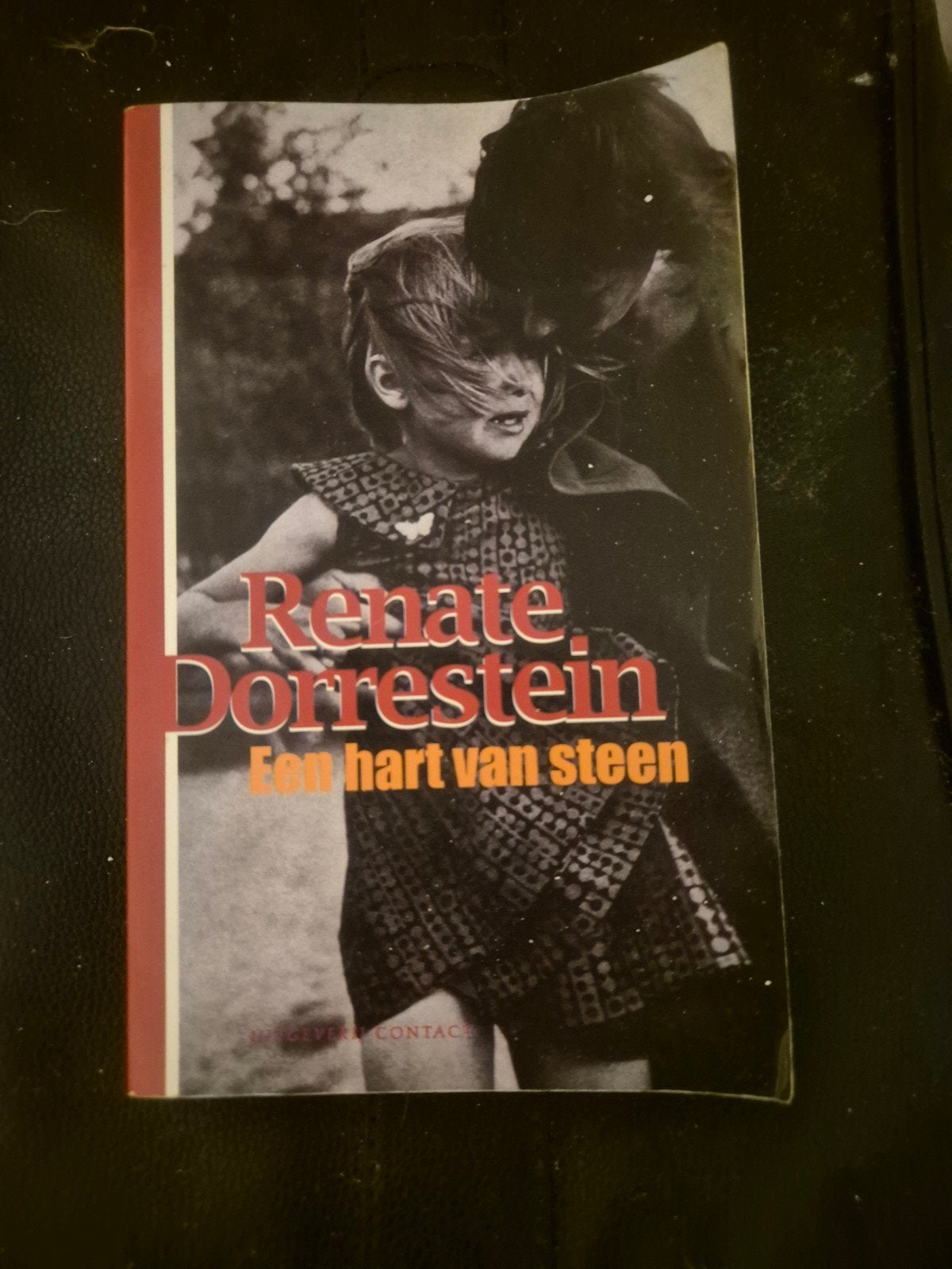 Renate Dorrestein - Een hart van steen (roman), Ophalen of Verzenden, Gelezen, Renate Dorrestein, Nederland