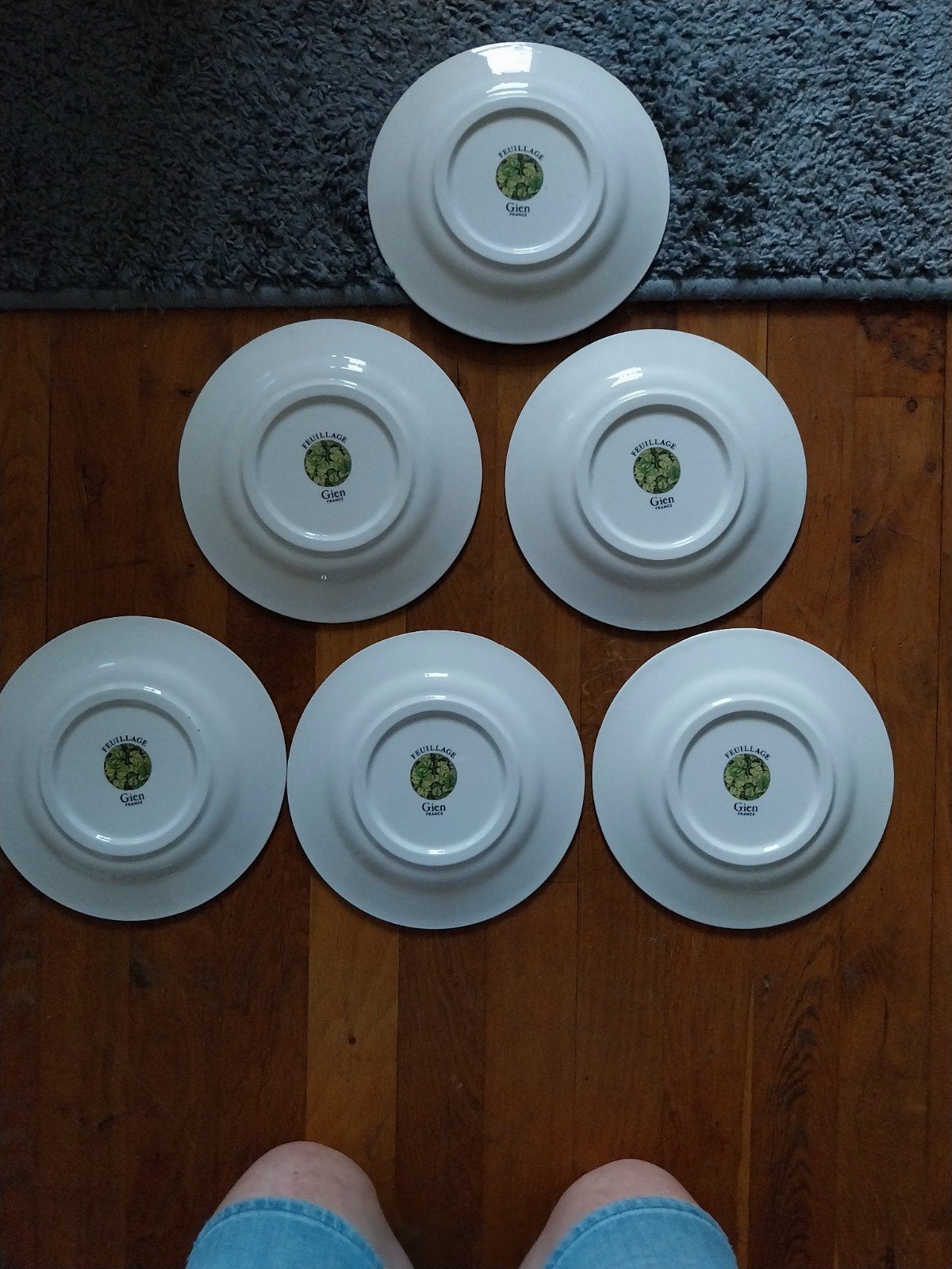 Gien Feuillage salade bordjes - 6 stuks, 22 cm, Ophalen, Zo goed als nieuw, Bord(en), Overige stijlen