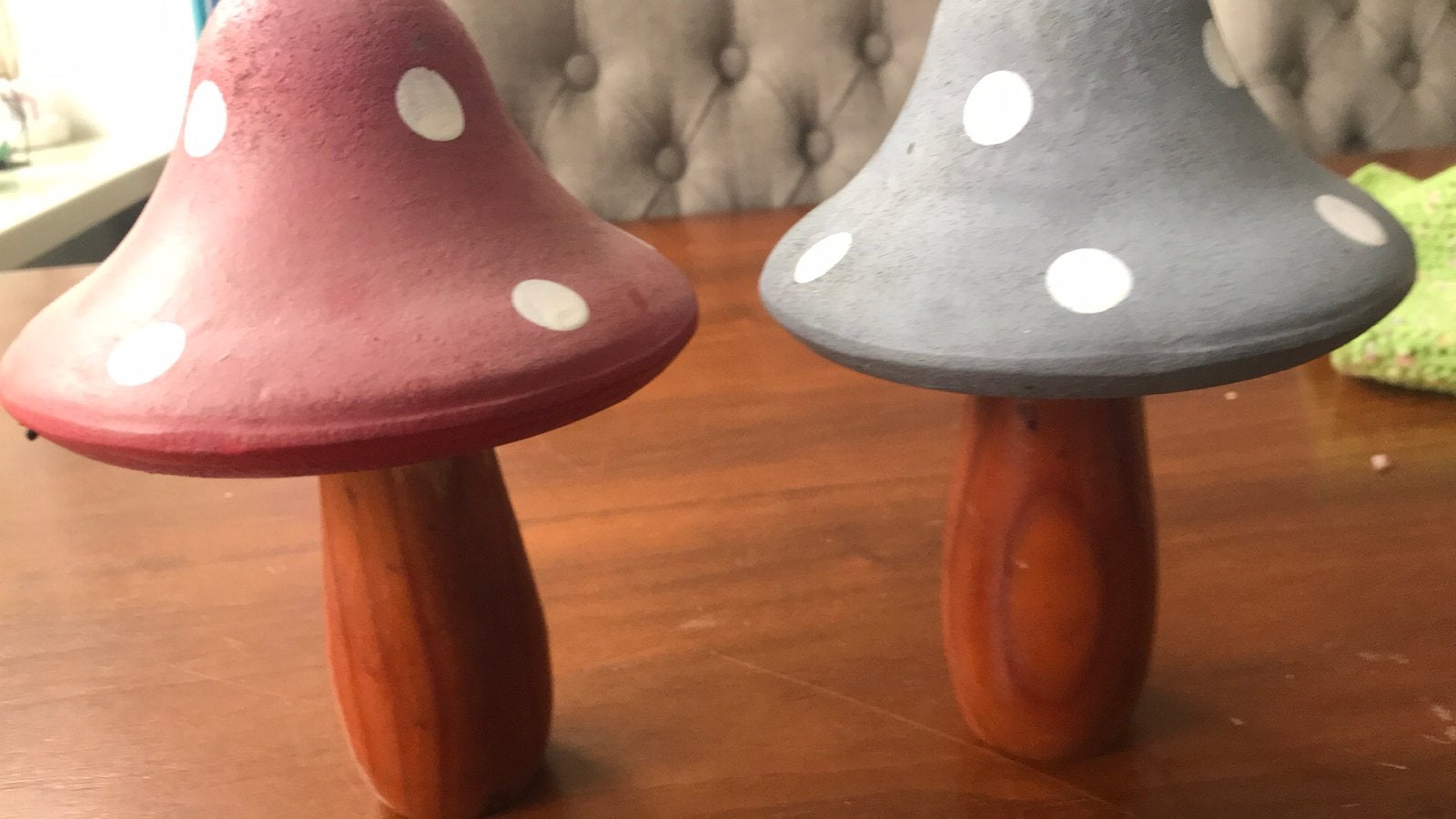 Paddestoelen, Ophalen of Verzenden, Zo goed als nieuw, Bloemen, Planten en Bomen