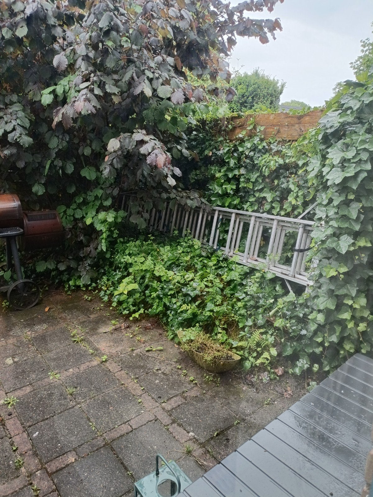 3x 13 ladder, Ophalen of Verzenden, Gebruikt, 4 meter of meer