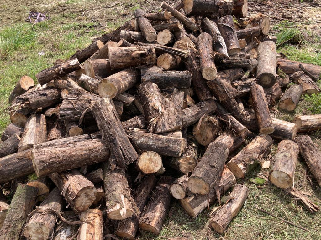 Brandhout van loofbomen, Tuin en Terras, Haardhout, 6 m³ of meer, Ophalen of Verzenden, Overige houtsoorten, Blokken