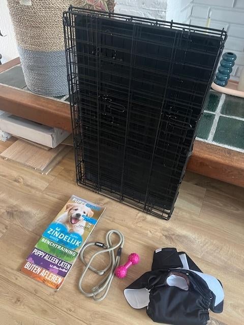 Puppypakket teefje: riempje, bench (M) etc, Ophalen of Verzenden, Zo goed als nieuw