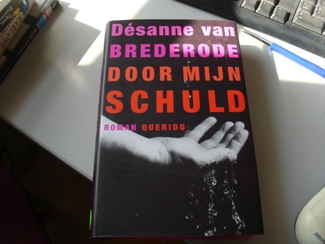 desanne van brederode - door mijn schuld, Ophalen of Verzenden, Zo goed als nieuw, Nederland
