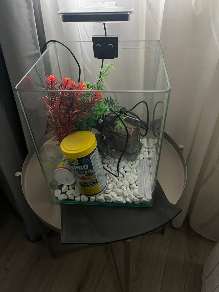 Aquarium met toebehoren en ledverlichting, Ophalen, Zo goed als nieuw, Leeg aquarium