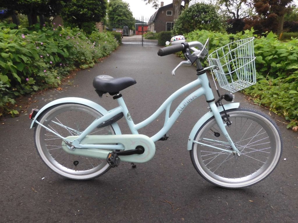 Leuke soft mint matt  20 inch Alpina Ocean met mandje voor, Fietsen en Brommers, Fietsen | Meisjes, Terugtraprem, Alpina, Niet ingevuld