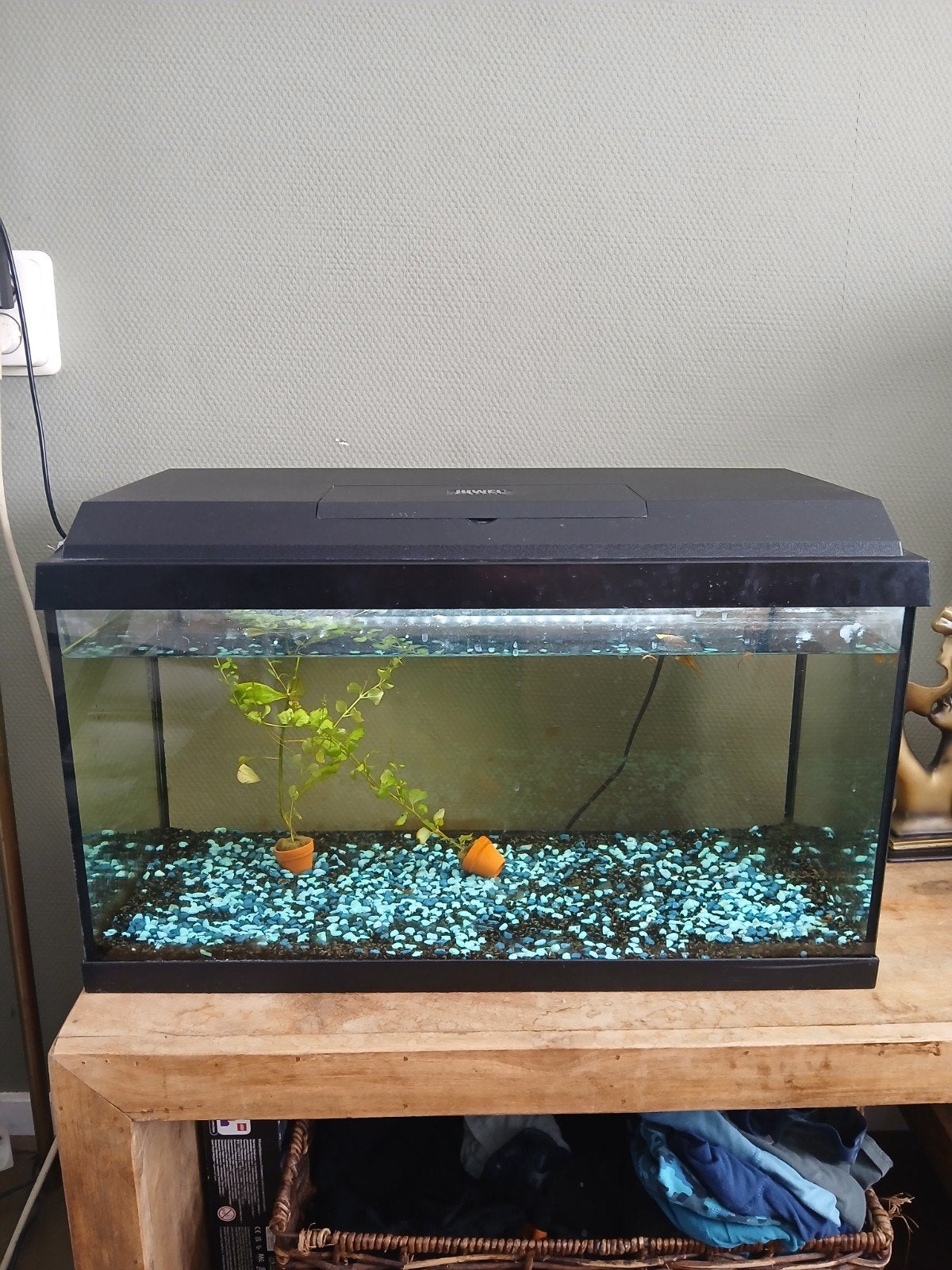 aquarium 70 liter, Ophalen of Verzenden, Leeg aquarium